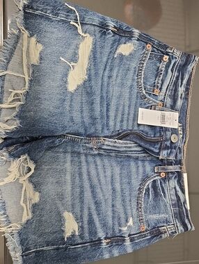 American Eagle Outfitters Distressed Blue Denim Ankle/Cropped Shorts